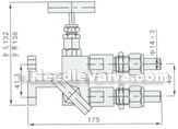 EN5-15 1151-type integrative two-valve manifold constructral diagram(pic1)